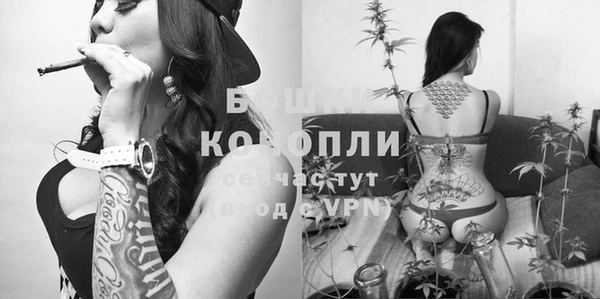 PSILOCYBIN Абинск