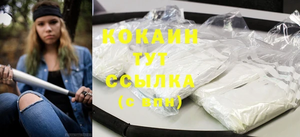 тгк Абаза