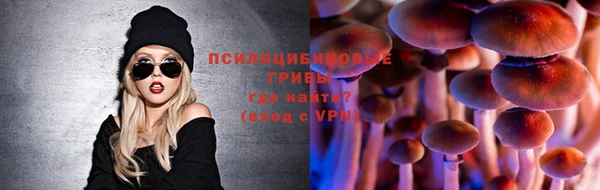 тгк Абаза