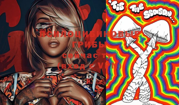 PSILOCYBIN Абинск