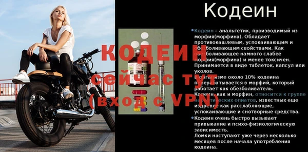 тгк Абаза