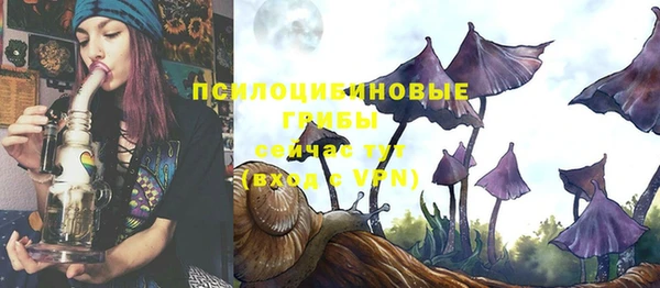 PSILOCYBIN Абинск