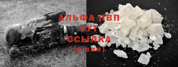 тгк Абаза