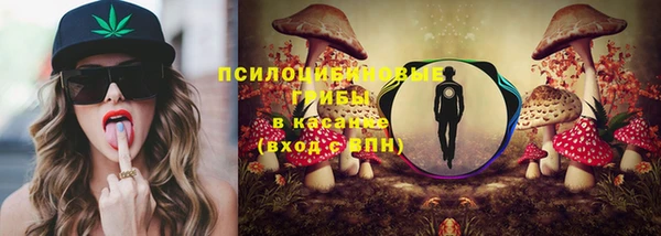PSILOCYBIN Абинск