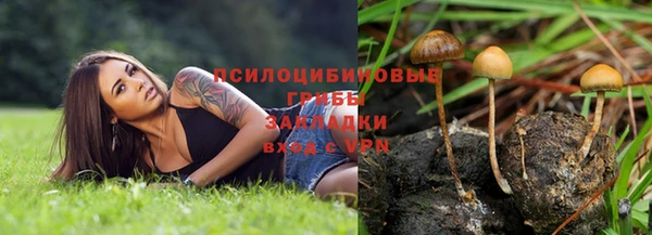 тгк Абаза