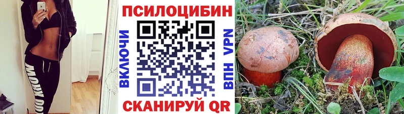 МЕГА зеркало  Чкаловск  Галлюциногенные грибы ЛСД 
